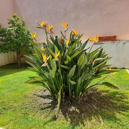 فيلا A Casa Da Avo Ana Arneiro das Milharicas المظهر الخارجي الصورة